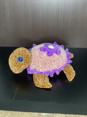 Turtle Miss.Fancy