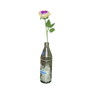 Blomma